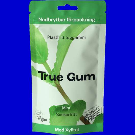 2 x True Gum Mint Tuggummi