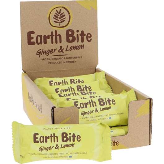Earth Bite Rawbar Ingefära & Citron Eko 12-pack