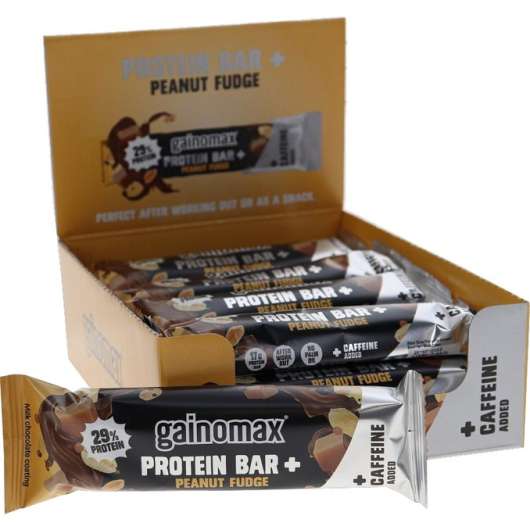 Gainomax 15-pack Protein Bar Peanut Fudge