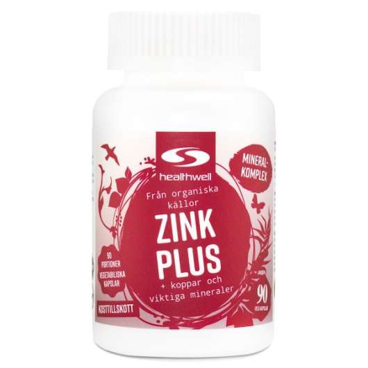 Healthwell Zink Plus 90 kaps
