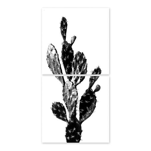 Kakeldekor Kaktus 15x15 cm 2-pack Transparent