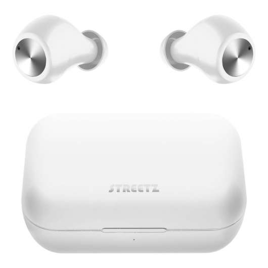 T210 TWS in-ear earbuds with charging case