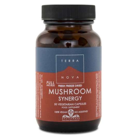 Terranova Mushroom Synergy 50 kaps